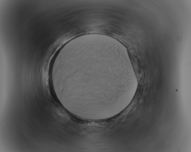 X0000086750290200705111700