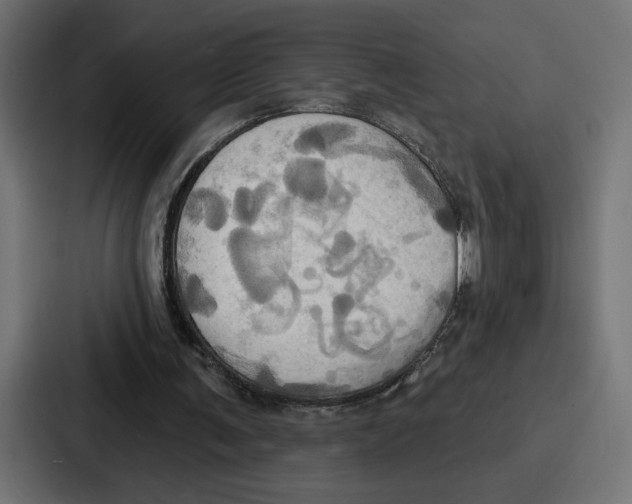 X0000086750291200705111700