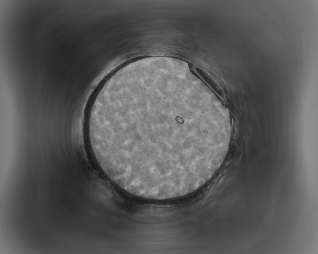 X0000086750292200705111700