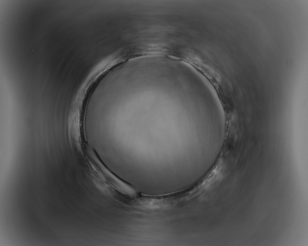 X0000086750293200705111700