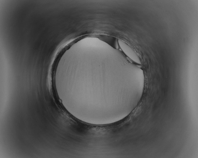 X0000086750294200705111700