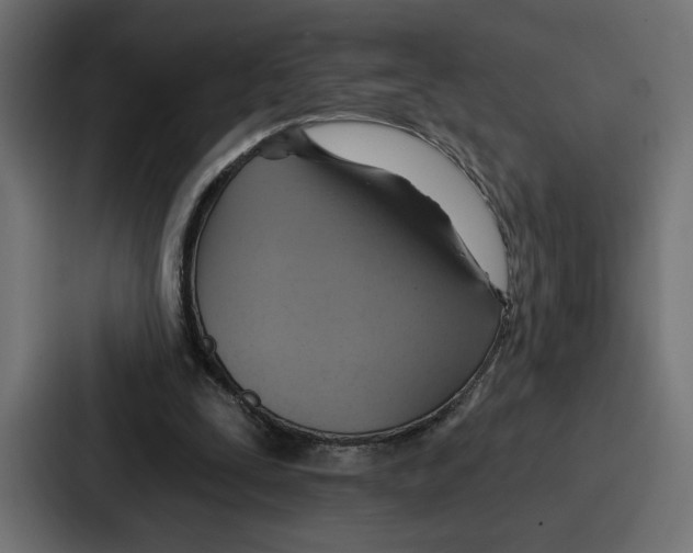 X0000086750295200705111700