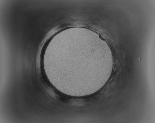 X0000086750296200705111700