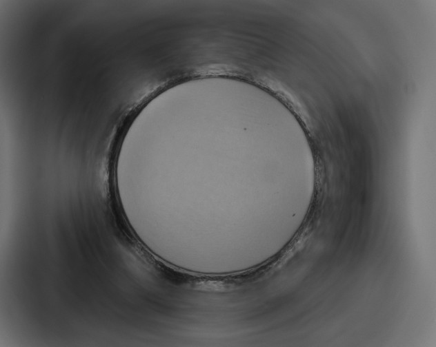 X0000086750298200705111700