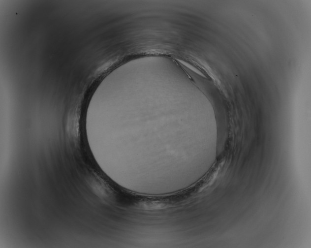 X0000086750299200705111700