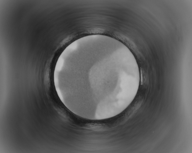 X0000086750300200705111700
