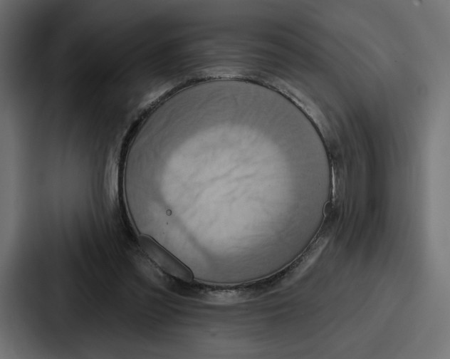 X0000086750301200705111700