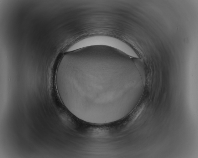 X0000086750303200705111700