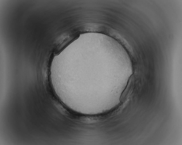 X0000086750305200705111700