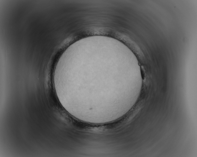 X0000086750306200705111700