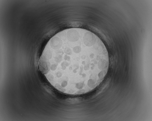 X0000086750307200705111700