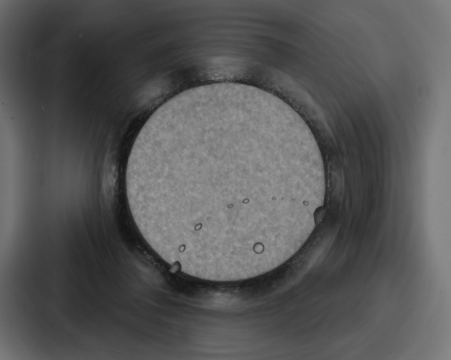 X0000086750308200705111700
