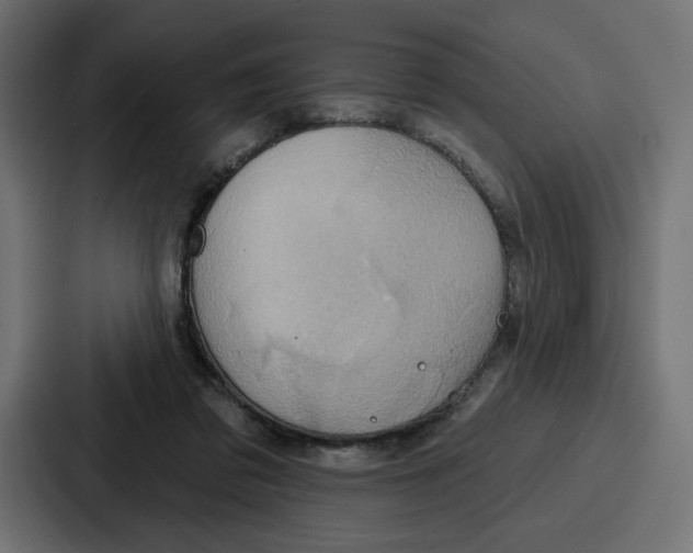 X0000086750309200705111700