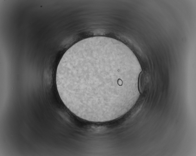 X0000086750311200705111700