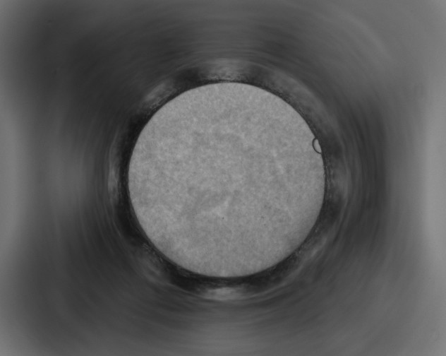 X0000086750312200705111700