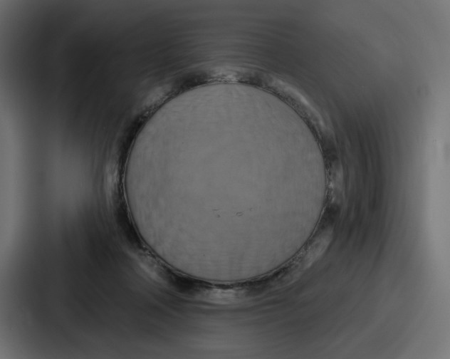 X0000086750314200705111700