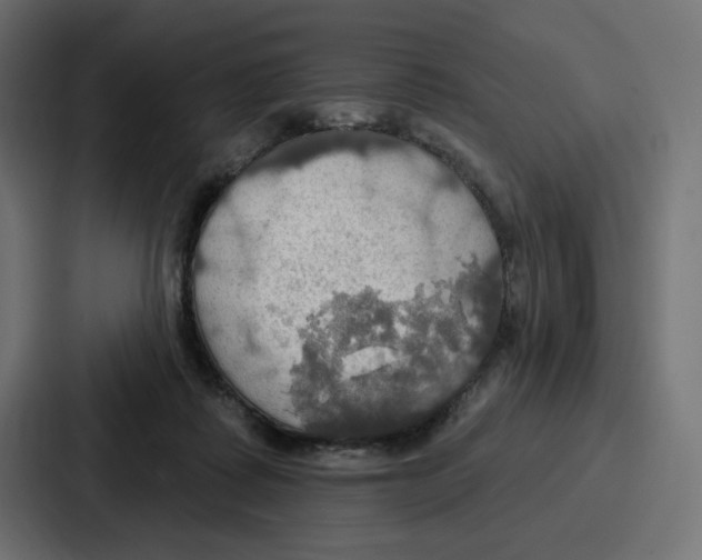 X0000086750315200705111700