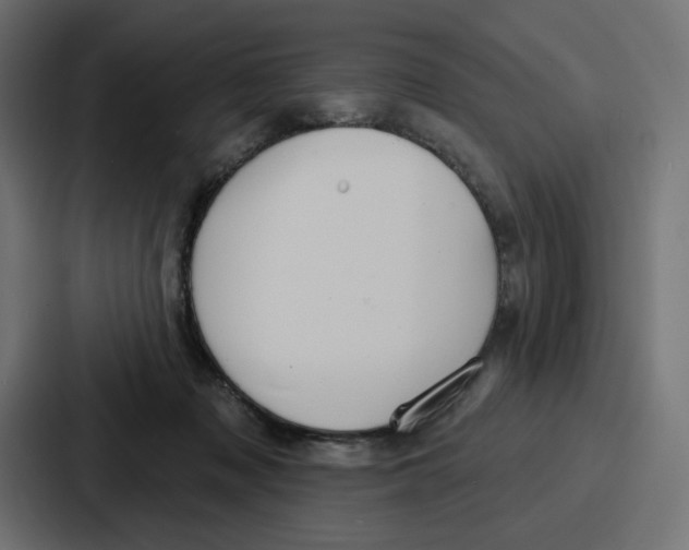 X0000086750317200705111700