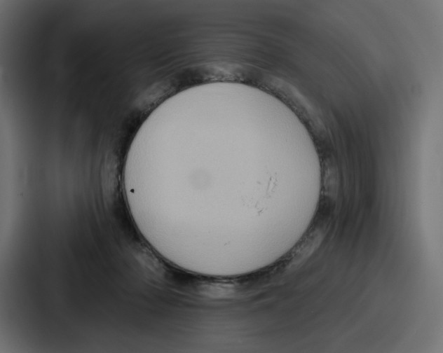 X0000086750318200705111700