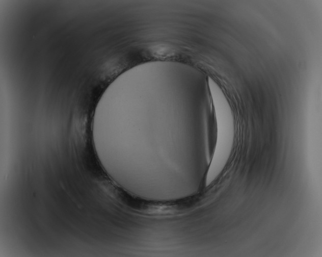 X0000086750319200705111700