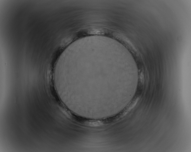 X0000086750322200705111700