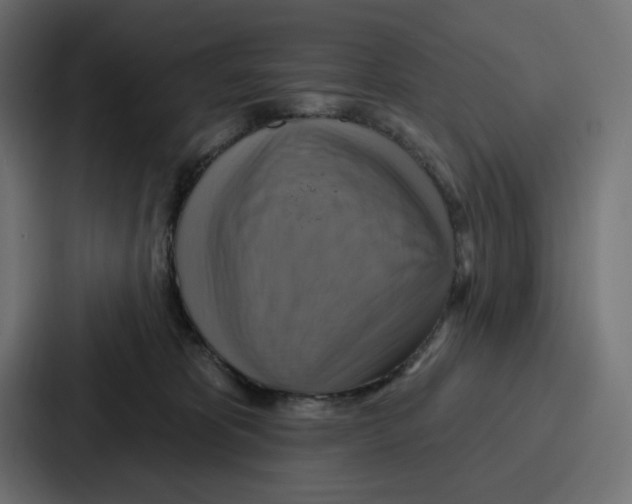 X0000086750325200705111700
