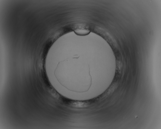 X0000086750326200705111700