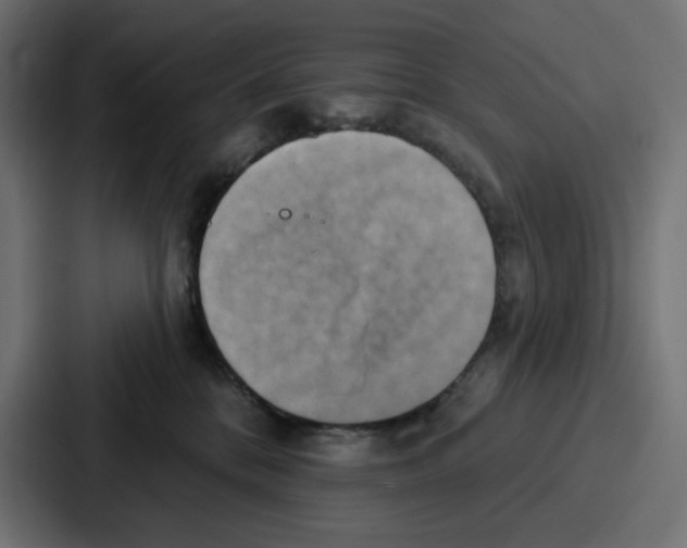 X0000086750328200705111700