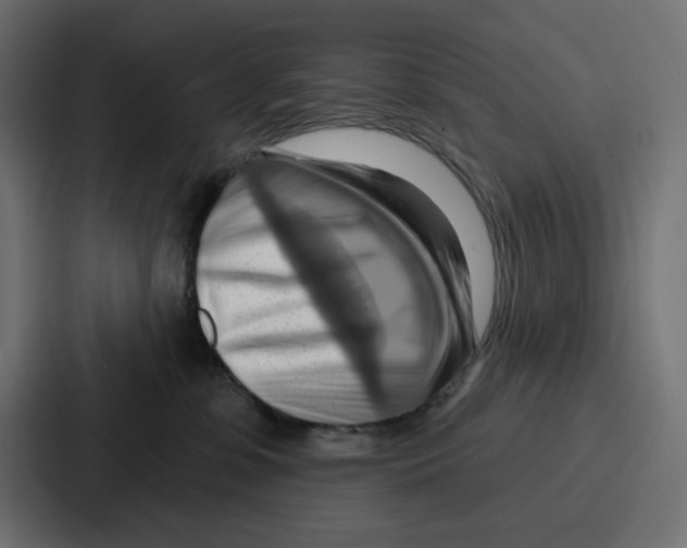 X0000086750331200705111700