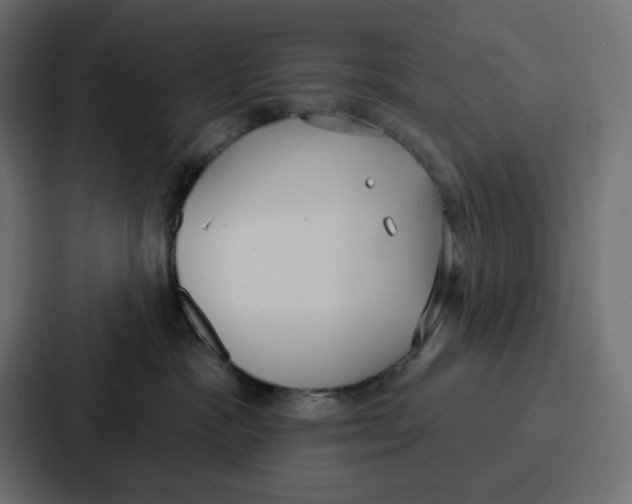 X0000086750333200705111700