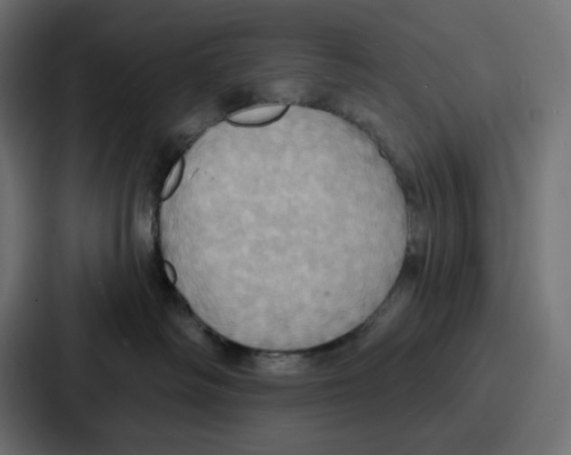 X0000086750334200705111700