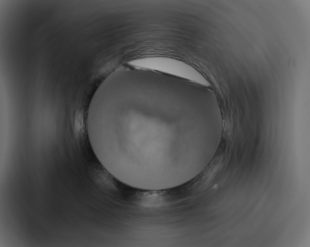 X0000086750335200705111700
