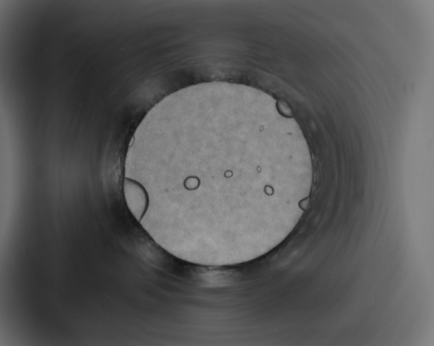 X0000086750336200705111700