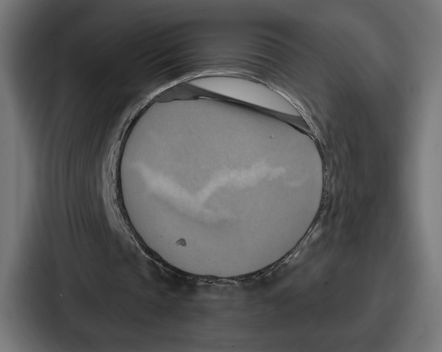 X0000086750337200705111659