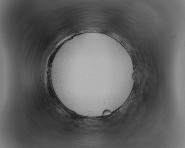 X0000086750338200705111659