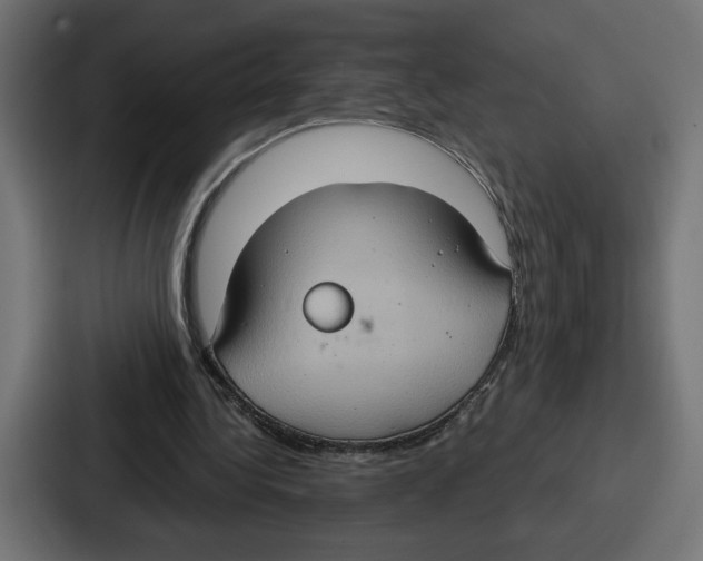 X0000086750340200705111659