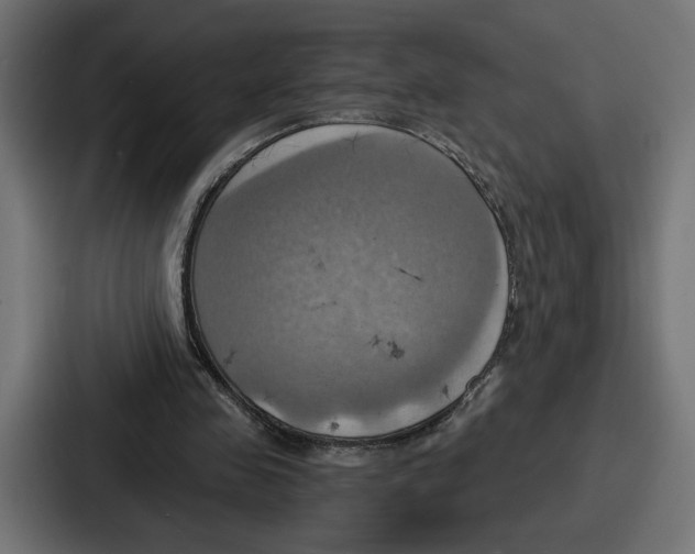 X0000086750341200705111659