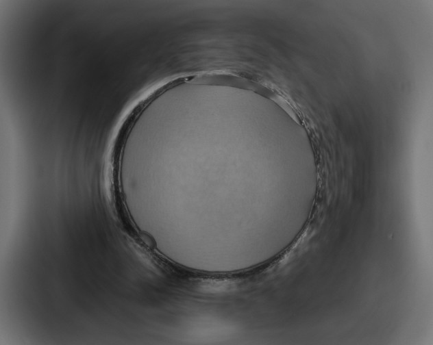X0000086750342200705111659