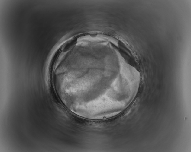 X0000086750343200705111659