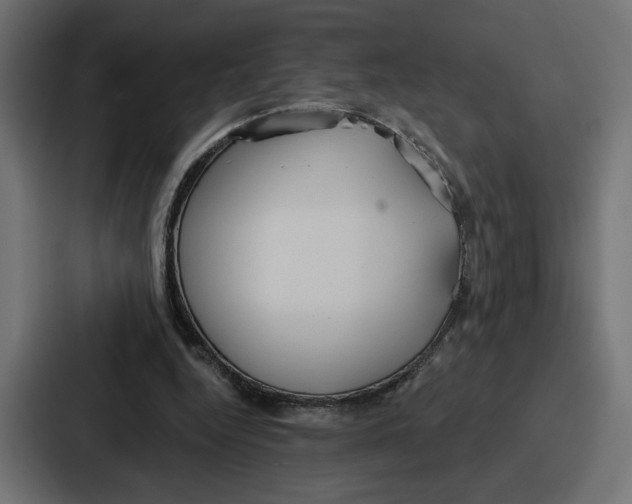 X0000086750344200705111659