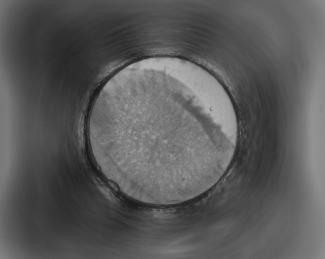 X0000086750345200705111659