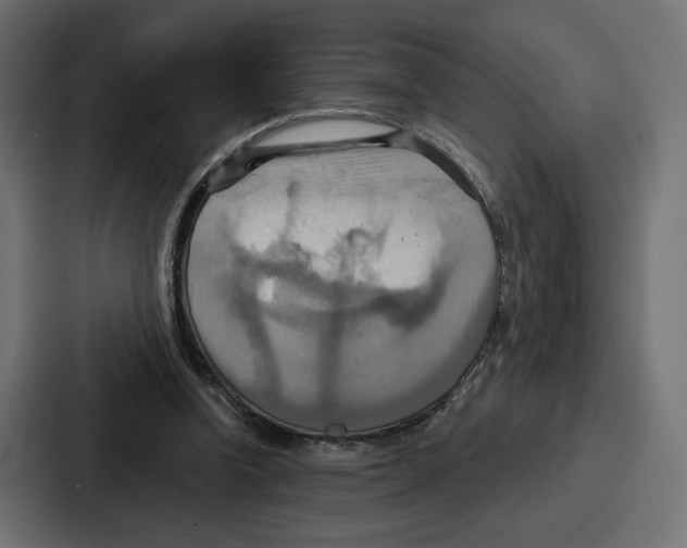 X0000086750346200705111659