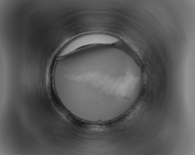 X0000086750347200705111659