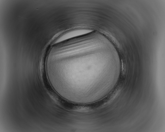 X0000086750348200705111659