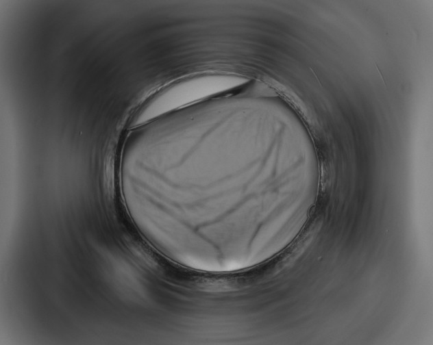 X0000086750349200705111659
