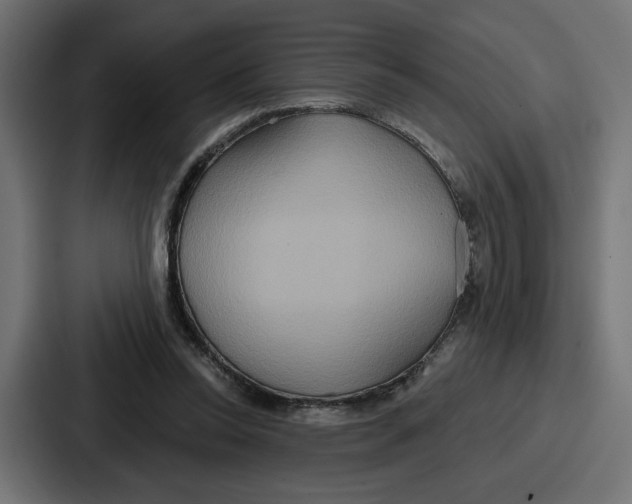 X0000086750350200705111659