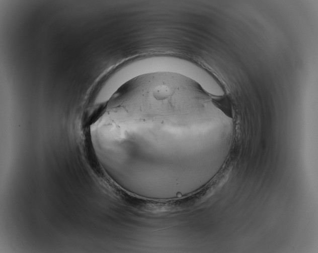 X0000086750351200705111659