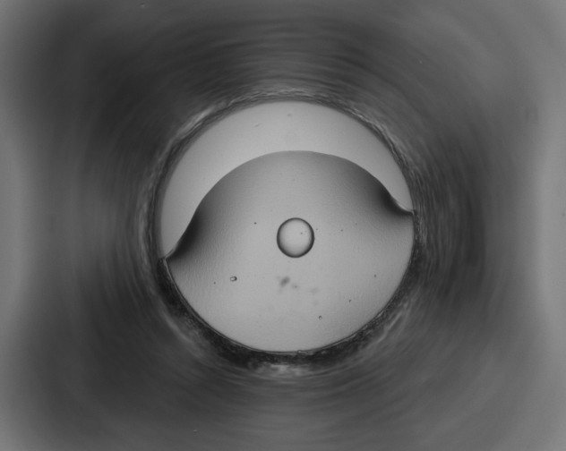 X0000086750352200705111659