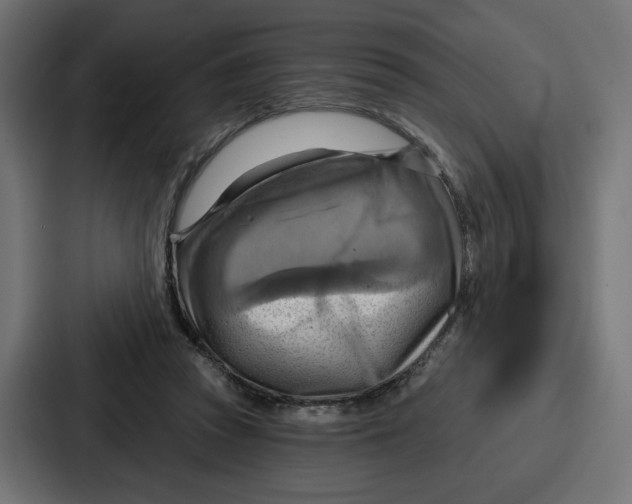 X0000086750353200705111659