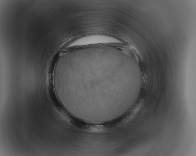 X0000086750355200705111659